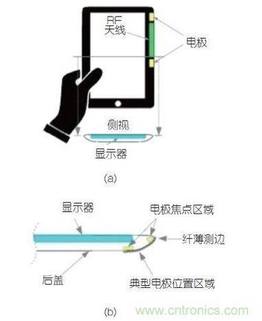 (a)側(cè)剖視圖描述；(b)電極焦點(diǎn)區(qū)域描述