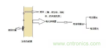 仿生傳感器的定義、原理、分類(lèi)及應(yīng)用