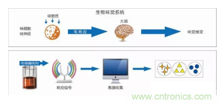 仿生傳感器的定義、原理、分類(lèi)及應(yīng)用