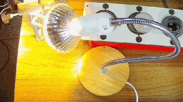 電燈泡內通有交流電，為什么看不到燈泡在閃爍？