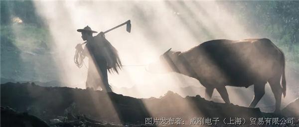 智慧農(nóng)業(yè)大有可為，“數(shù)字種地”更輕松